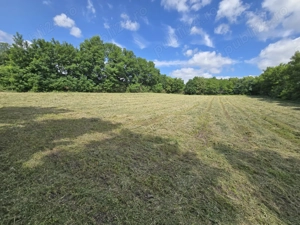 Teren intravilan deosebit - Roma, Botosani - imagine 4