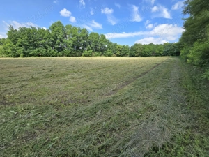 Teren intravilan deosebit - Roma, Botosani - imagine 5