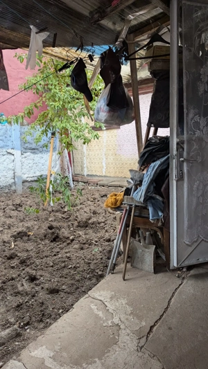 Str. Trompetului, Ferentari, Sect. 5, Bucuresti Casa + Curte 197mp - imagine 6 Str. Trompetului, Ferentari, Sect. 5, Bucuresti Casa + Curte 197mp - imagine 6