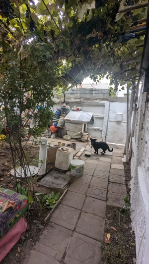 Str. Trompetului, Ferentari, Sect. 5, Bucuresti Casa + Curte 197mp - imagine 7 Str. Trompetului, Ferentari, Sect. 5, Bucuresti Casa + Curte 197mp - imagine 7