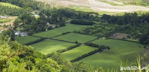 Vand teren extravilan 2ha la super pretttt 