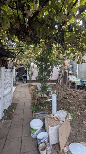 Str. Trompetului, Ferentari, Sect. 5, Bucuresti Casa + Curte 197mp - imagine 8 Str. Trompetului, Ferentari, Sect. 5, Bucuresti Casa + Curte 197mp - imagine 8