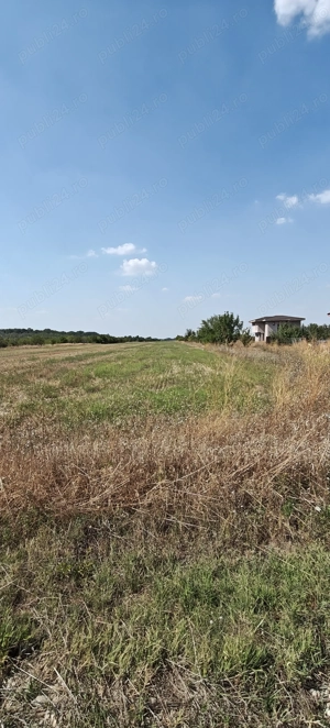 Teren - Țegheș - Domnești - imagine 3