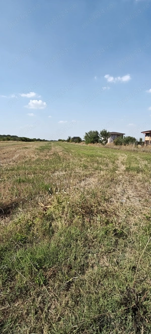 Teren - Țegheș - Domnești - imagine 4