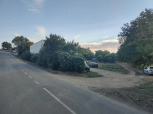 Casa cu teren 2200 mp si hala noua de 154 mp in localitatea Bodrogu Nou la 10 km de Arad - imagine 3