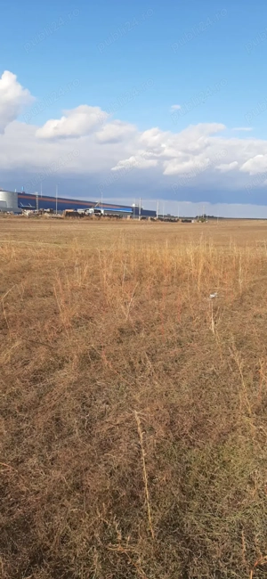 Teren de vanzare zona Dedeman Alexandria.