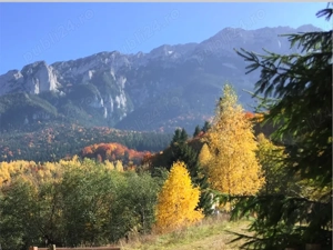 De vanzare Casa la munte, Piatra Craiului - Plaiul Foii, Zarnesti, Brasov