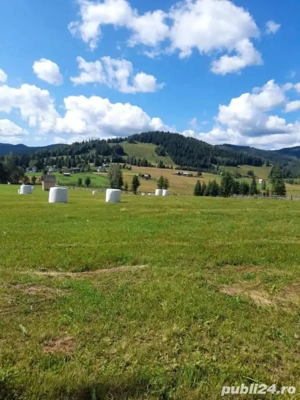 jud Suceava zona de munte 