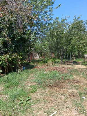 Casa de vânzare în Baicoi Prahova - imagine 6