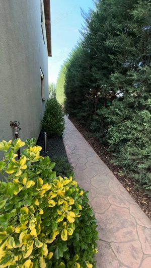 Proprietar, vând duplex, 5min Lidl  Parcul Terra Dumbrăvița  - imagine 10 Proprietar, vând duplex, 5min Lidl  Parcul Terra Dumbrăvița  - imagine 10