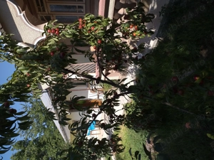 Vând casă la țară 