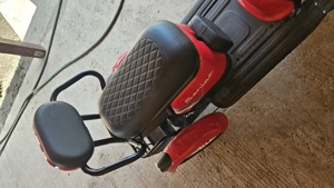 Triciclu Electric Senior