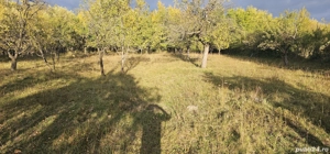 Teren intravilan Pucioasa 