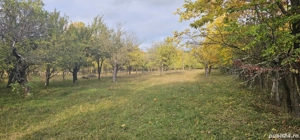 Teren intravilan Pucioasa  - imagine 2