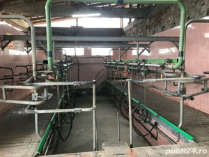 vand sala de muls 2x6 Westphalia - imagine 3