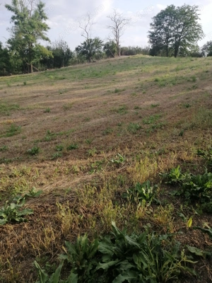 Vând teren intravilan 2877mp - imagine 2 Vând teren intravilan 2877mp - imagine 2