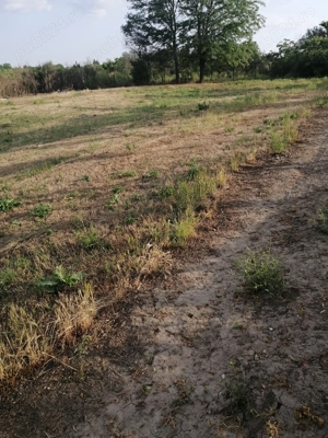 Vând teren intravilan 2877mp - imagine 5 Vând teren intravilan 2877mp - imagine 5