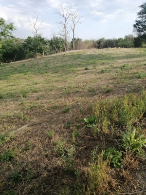 Vând teren intravilan 2877mp - imagine 7 Vând teren intravilan 2877mp - imagine 7