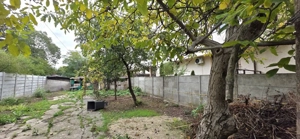 Chitila Pod Constanta teren 450 mp de vanzare - imagine 3