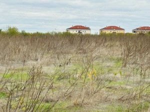 Teren extravilan Chitila/Mogosoia 15895mp - imagine 4