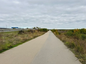 Teren extravilan Chitila/Mogosoia 15895mp - imagine 3