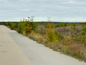 Teren extravilan Chitila/Mogosoia 15895mp - imagine 5