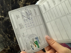 Beagle 5 luni sanatos !  - imagine 4 Beagle 5 luni sanatos !  - imagine 4