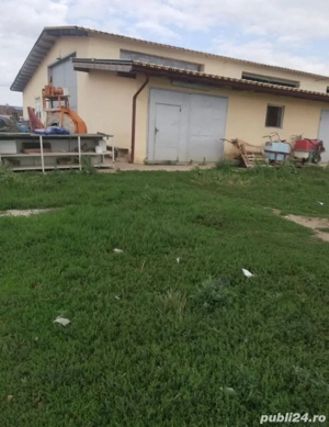 Ferma judet Timis  - imagine 4