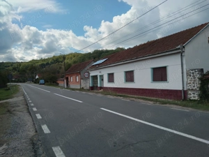 Casă de vânzare,Timiș