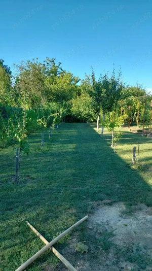 Vând casa în Lugoj, 135000de euro preț fix! - imagine 4