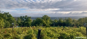 Teren de vanzare Comuna Șipote sat Chișcăreni