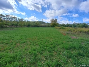 Teren de vanzare Comuna Șipote sat Chișcăreni  - imagine 4