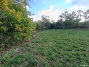 Teren de vanzare Comuna Șipote sat Chișcăreni  - imagine 5