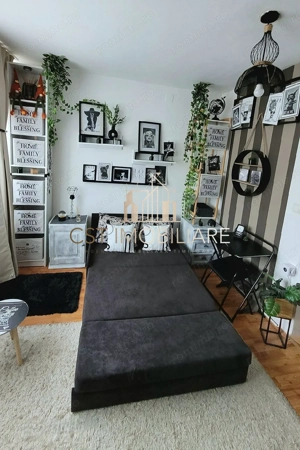 Garsoniera,  Zona Buziasului.