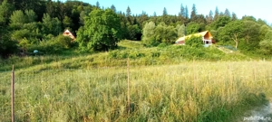 Teren intravilan Preluca, Neamt - imagine 10