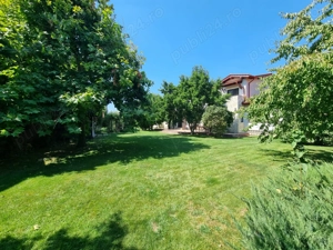 Citila langa Lacul cu Nuferi si Padure - imagine 5