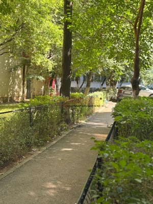 SUPER OFERTA - Alexandru Obregia - Disponibil Imediat - imagine 2