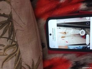 Vind garsoniera - imagine 4