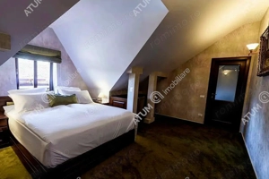 Vila 10 camere fiecare cu baie proprie in zona Central Istorica Sibi - imagine 4