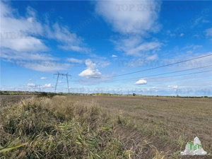 Teren 30 hectare, 500 m deschidere la A1, langa Bolentin Vale, km 34, sensul PITESTI-BUCURESTI