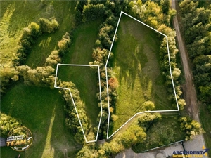 FILM! Teren extravilan, Ojdula, 4.800 mp, zona pitoreasca - imagine 2