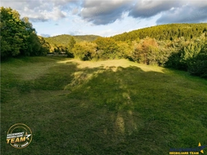 FILM! Teren extravilan, Ojdula, 4.800 mp, zona pitoreasca - imagine 5