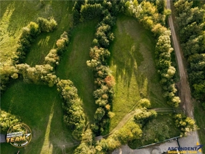 FILM! Teren extravilan, Ojdula, 4.800 mp, zona pitoreasca - imagine 6