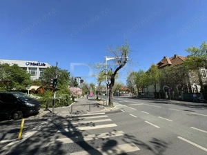 3 camere in vila langa Piata Floreasca  - imagine 15