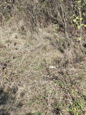 Teren constructii, Satul Posta, Cernica , judetul Ilfov - imagine 5