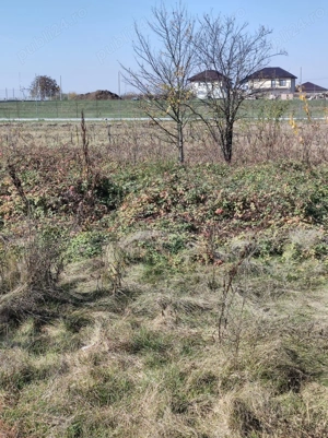 Teren constructii, Satul Posta, Cernica , judetul Ilfov - imagine 6