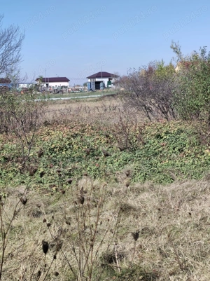 Teren constructii, Satul Posta, Cernica , judetul Ilfov - imagine 9