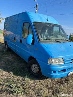 schimb cu vitei ,vaci , tauri , oi 