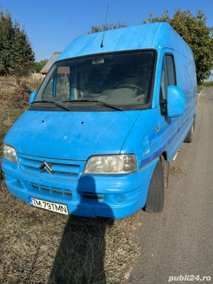 schimb cu vitei ,vaci , tauri , oi  - imagine 2 schimb cu vitei ,vaci , tauri , oi  - imagine 2