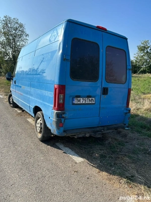 schimb cu vitei ,vaci , tauri , oi  - imagine 3 schimb cu vitei ,vaci , tauri , oi  - imagine 3